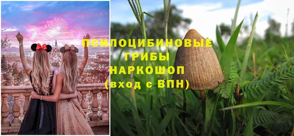 кокс Аркадак