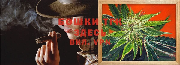 экстази Арсеньев