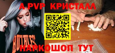тгк Новодвинск
