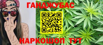 тгк Новодвинск