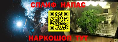 тгк Новодвинск
