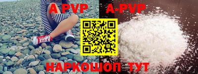 тгк Новодвинск