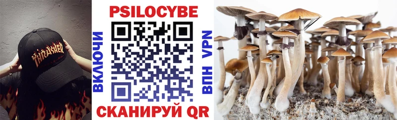 кракен сайт  маркетплейс формула  Сатка  Галлюциногенные грибы Psilocybe  где продают наркотики 