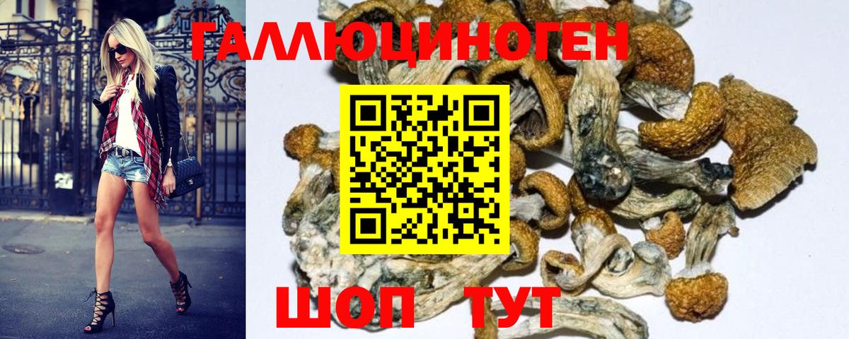 Сатка  где продают наркотики  Псилоцибиновые грибы Psilocybe  Вход с VPN  Галлюциногенные грибы Psilocybe 