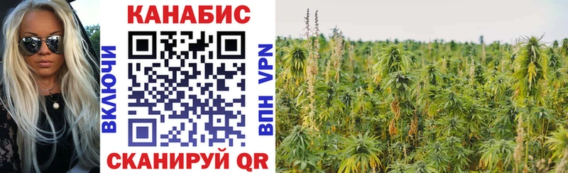 Бошки марихуана семена  OMG маркетплейс  Сатка  купить наркотик 