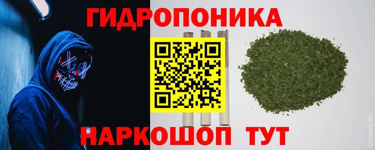 Каннабис семена  Марихуана индика  Вход с VPN  Сатка 